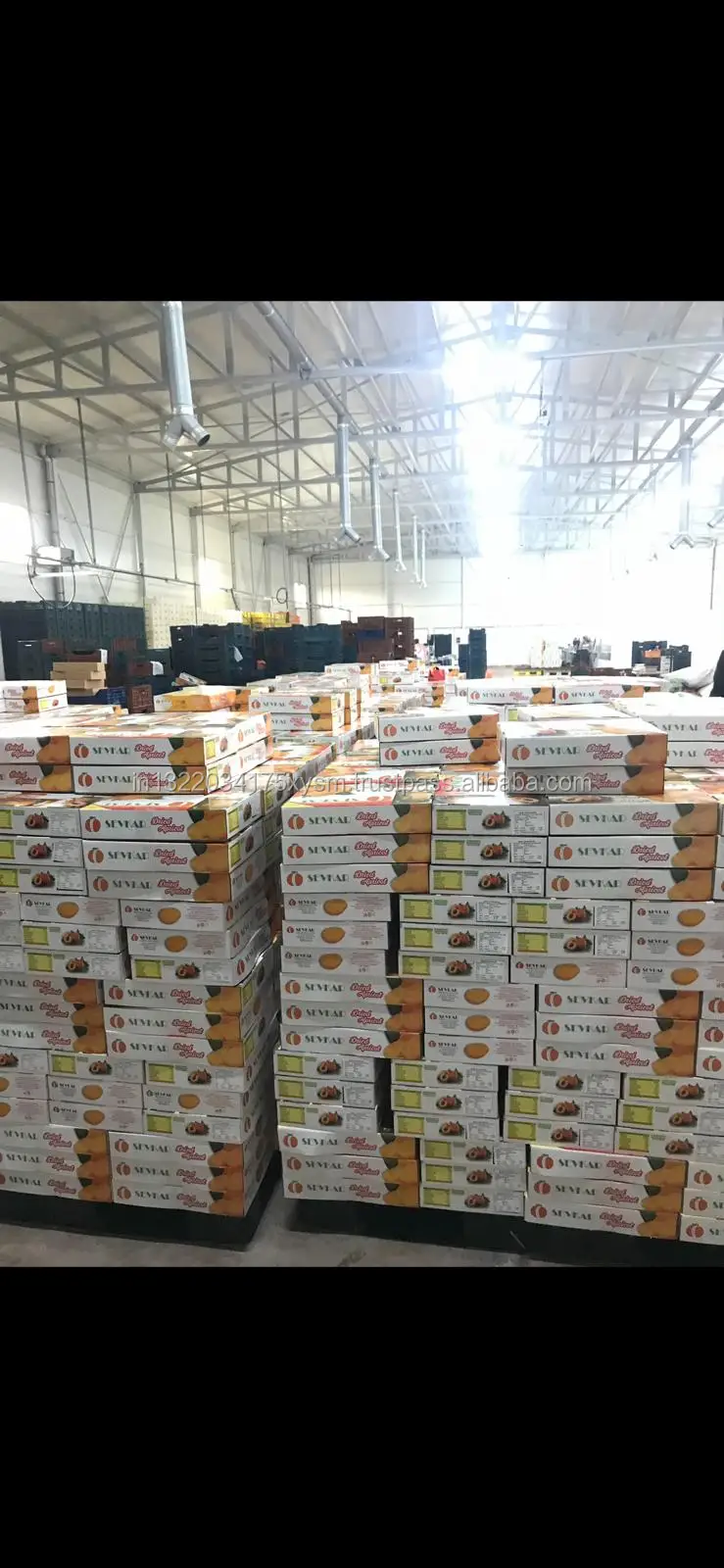 Fig and Apricot stock.jpg