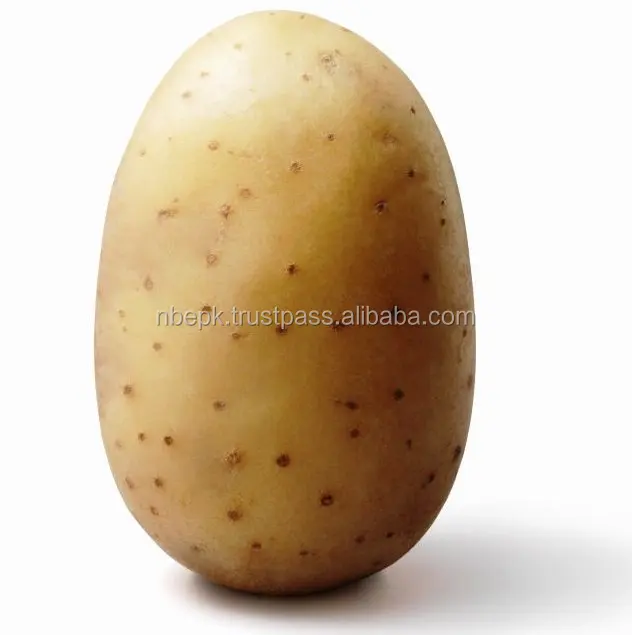 potato 01.jpg