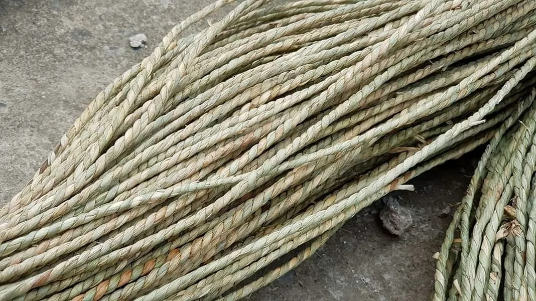 Natural Seagrass Material Seagrass Twisted Rope For Basket Wholesale