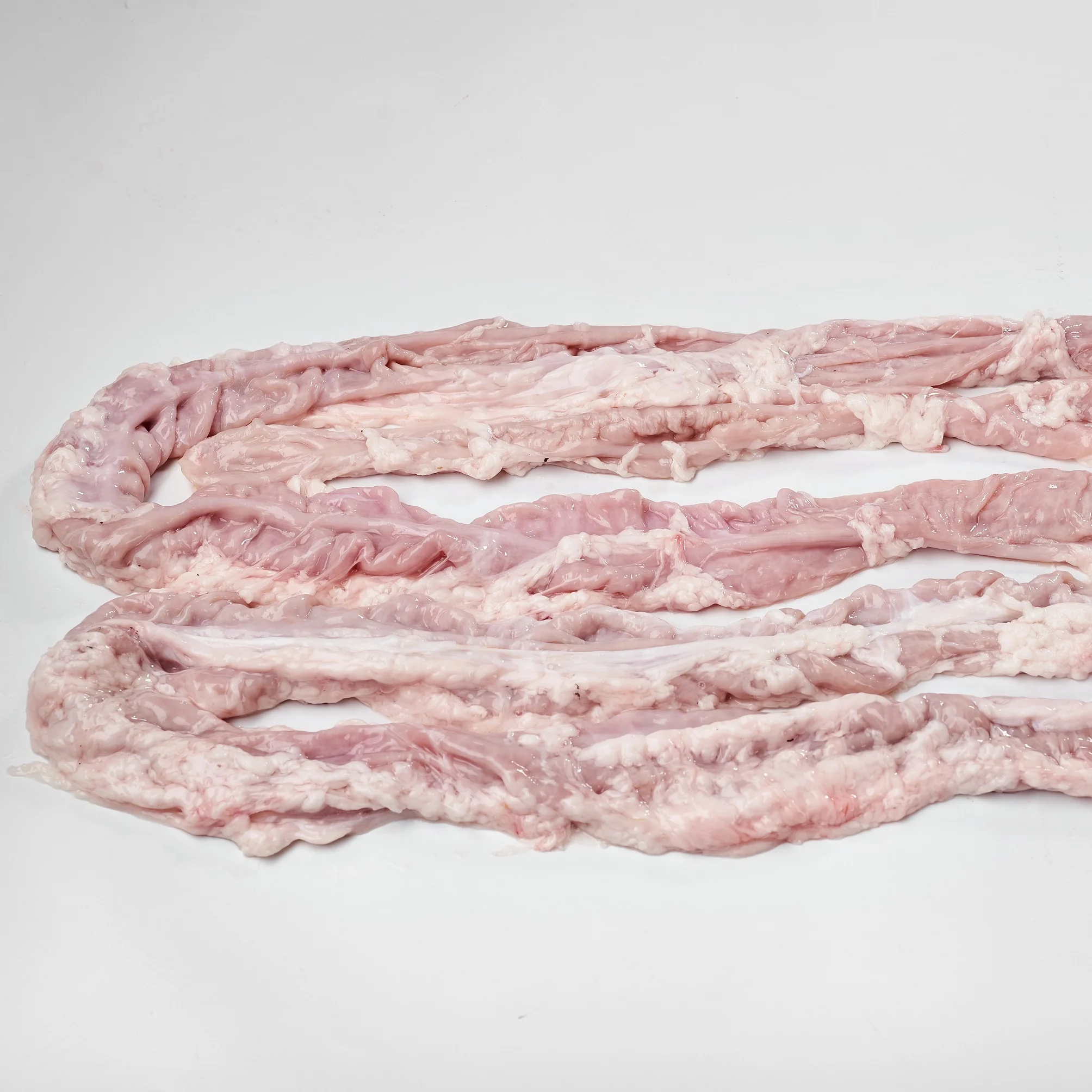 
Pork chitterling, large intestine, Pig casing, Small Casings 