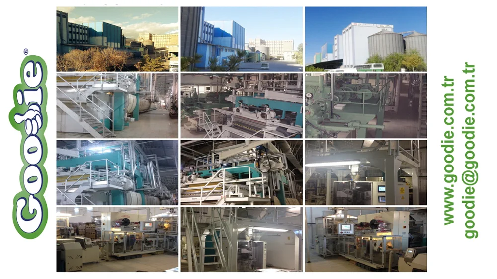 paste-pic-dp_uuid_16zm1