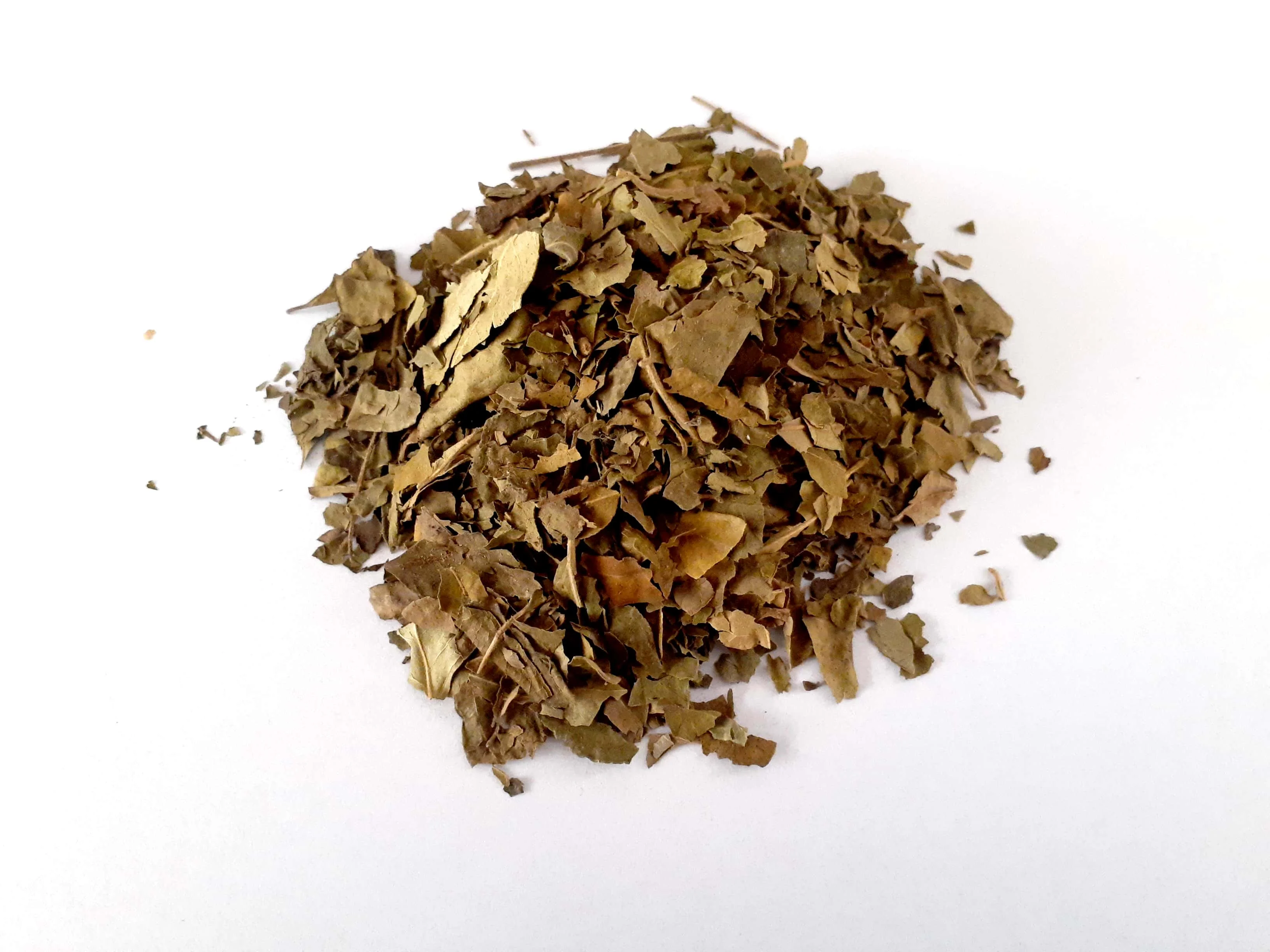 Indian Origin Premium Quality Herb Gurmar Leaves - Gymnema sylvestre ...