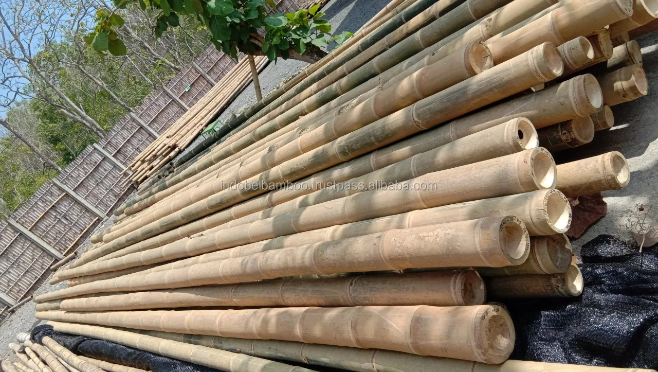 Bamboo Poles Natural Straight For Construction 5m (nontreated) Buy