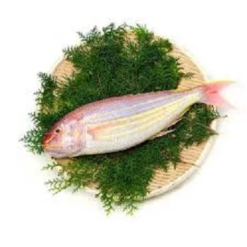 sultan fish For Sale