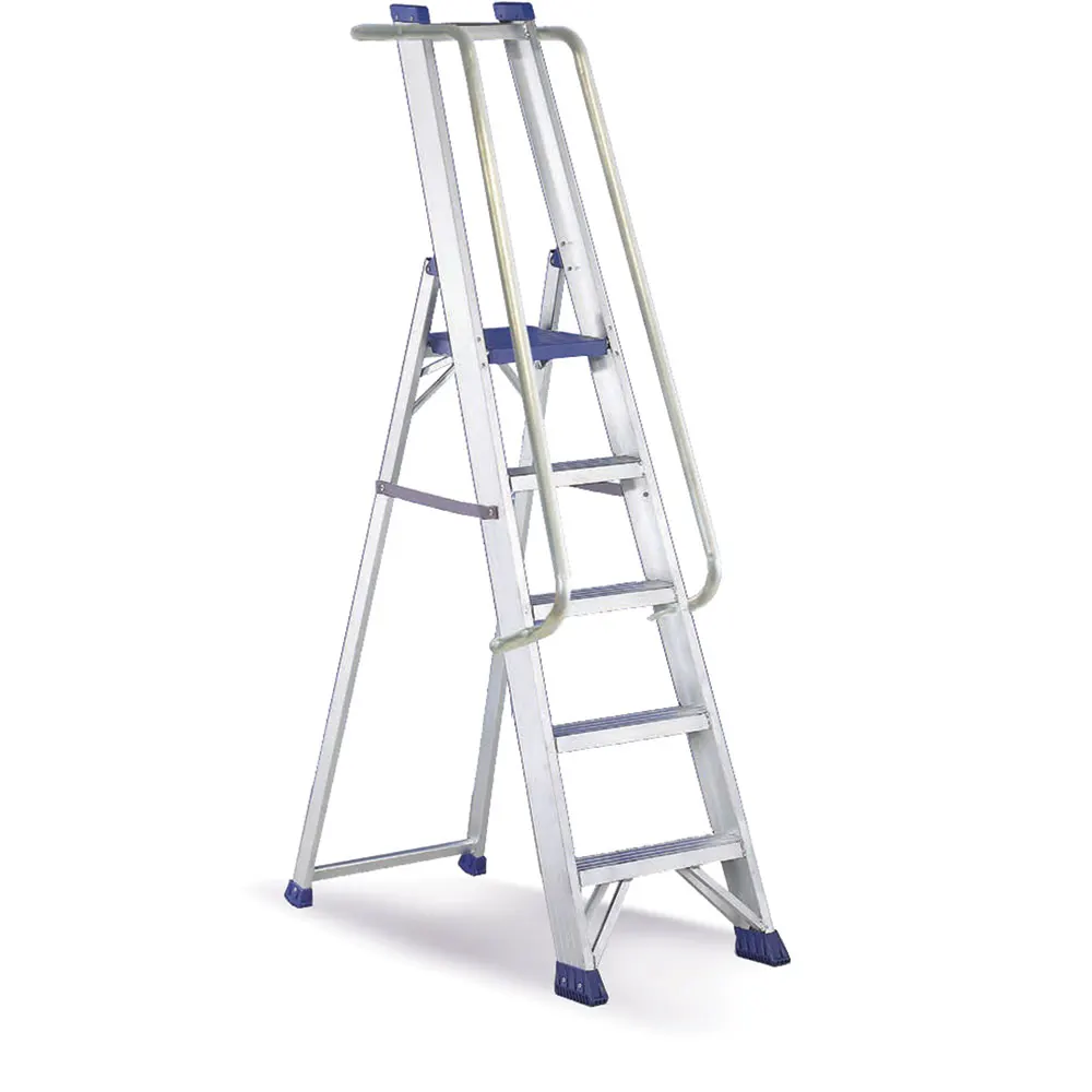 Hot Price Stepladder Regina Special With Platform Guardrail And