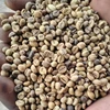/product-detail/cote-d-ivoire-robusta-coffee-beans-50036607784.html