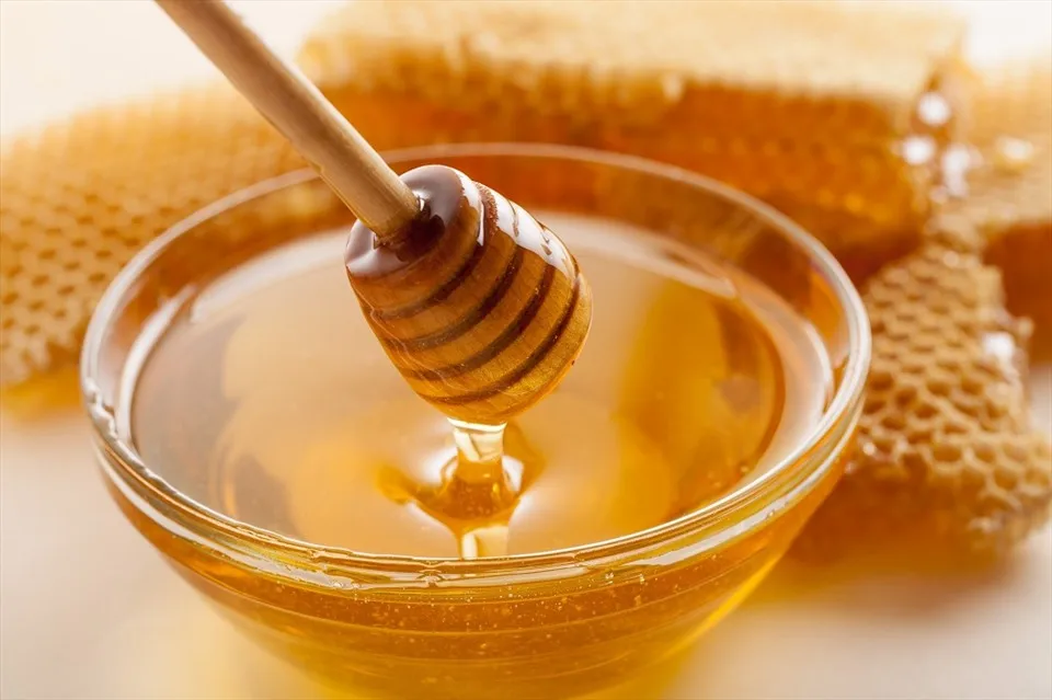 Organic Honey From Standard Company Wholesale Premium Honey Products In