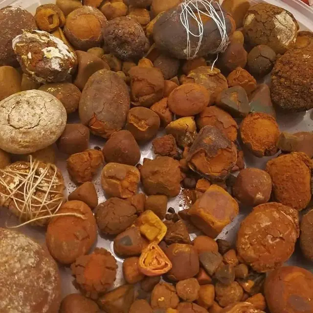 牛胆石 100% 纯天然优质天然牛胆石质量干牛胆结石/牛胆石