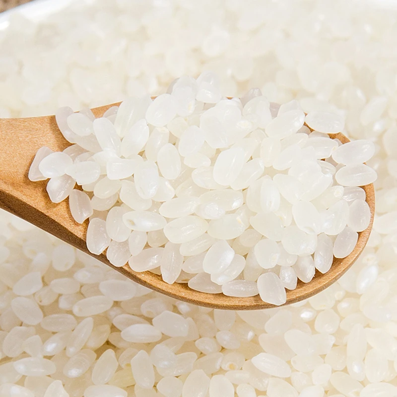 Wholesale Vietnam Grain Rice Japonica Rice/ Calrose Rice/ Jasmine Rice ...