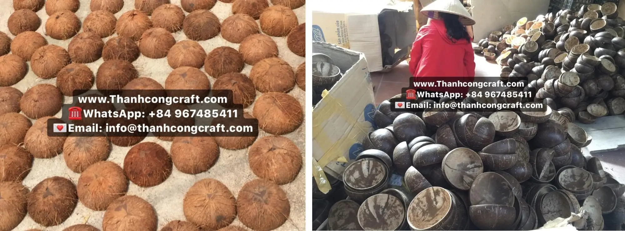 Vietnam Coconut bowls.JPG