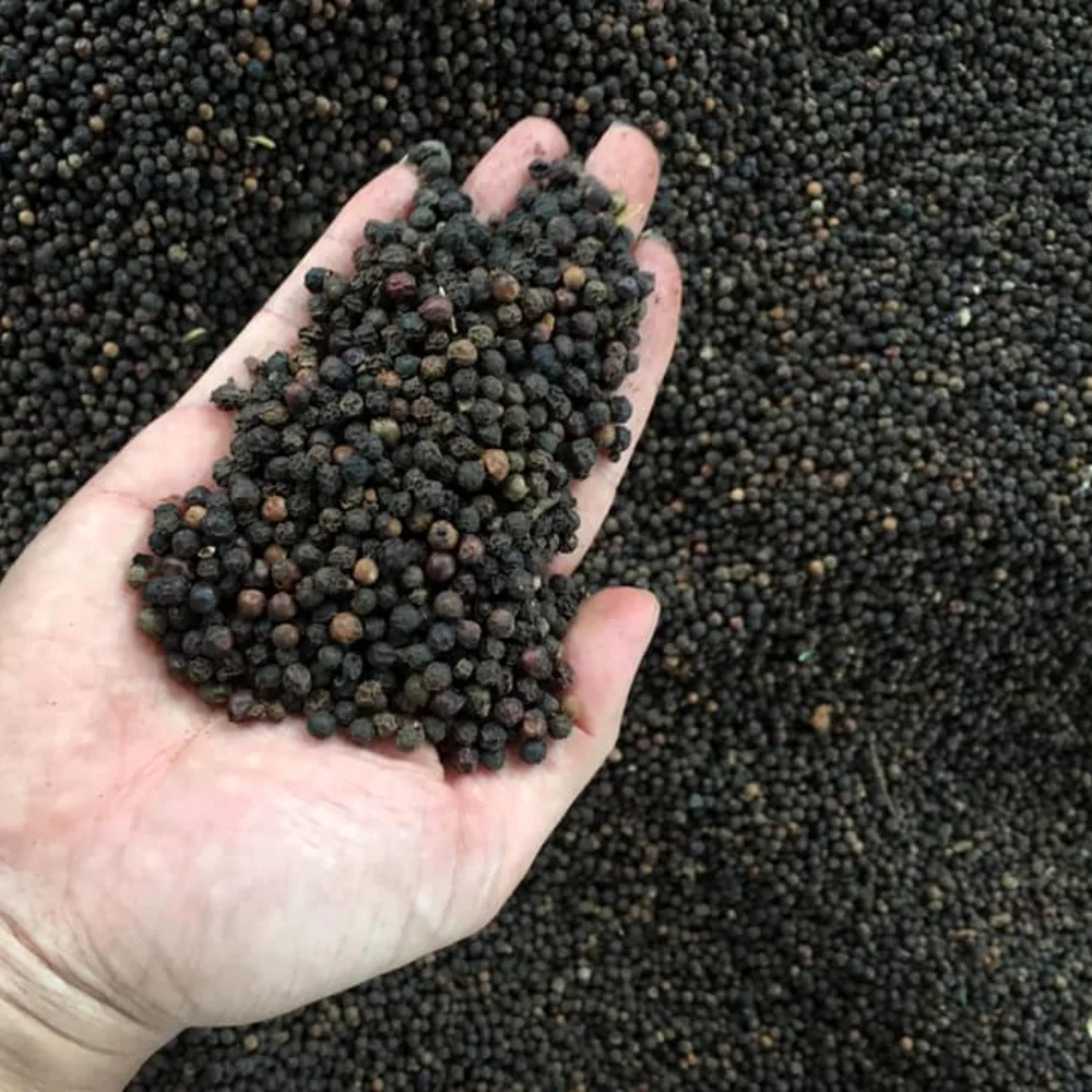 
Vietnam Dried Spices Black Pepper 