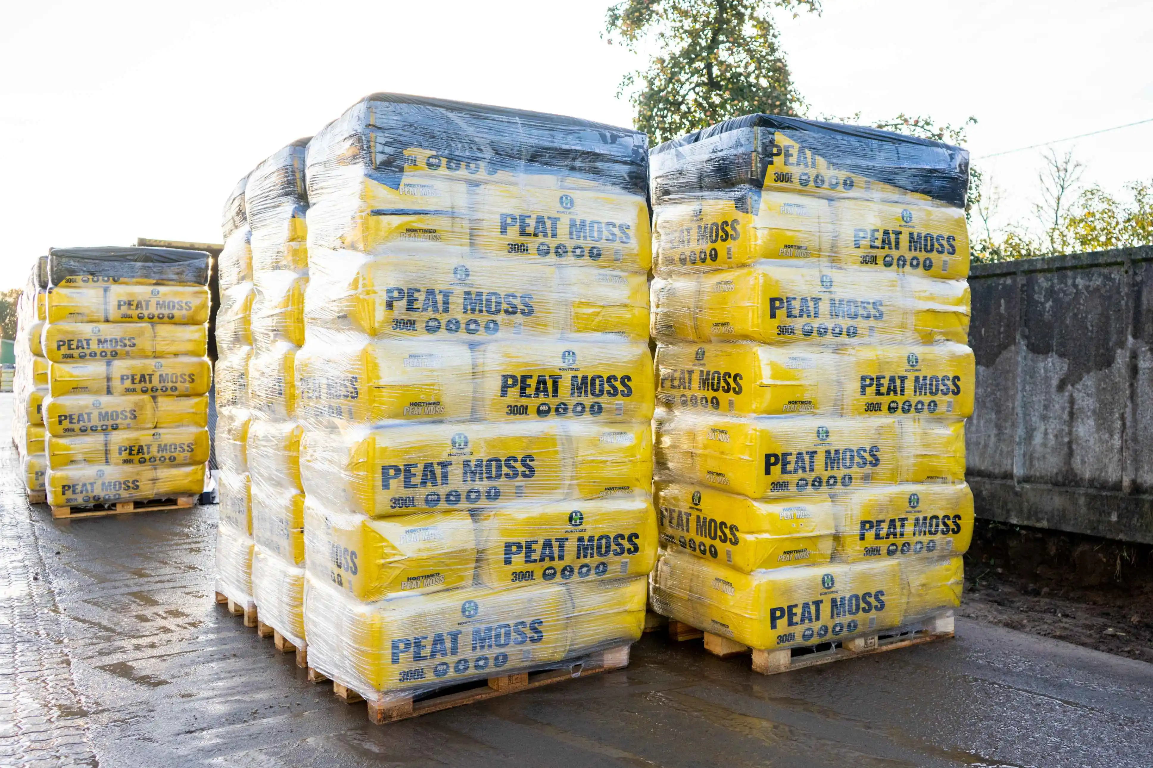 买家首选马铃薯原料天然 sp木泥炭苔