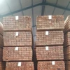 EKOP GRIS SAWN TIMBER LOGS