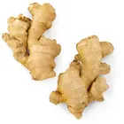 Popular hot selling yellow fresh smooth smooth ginger