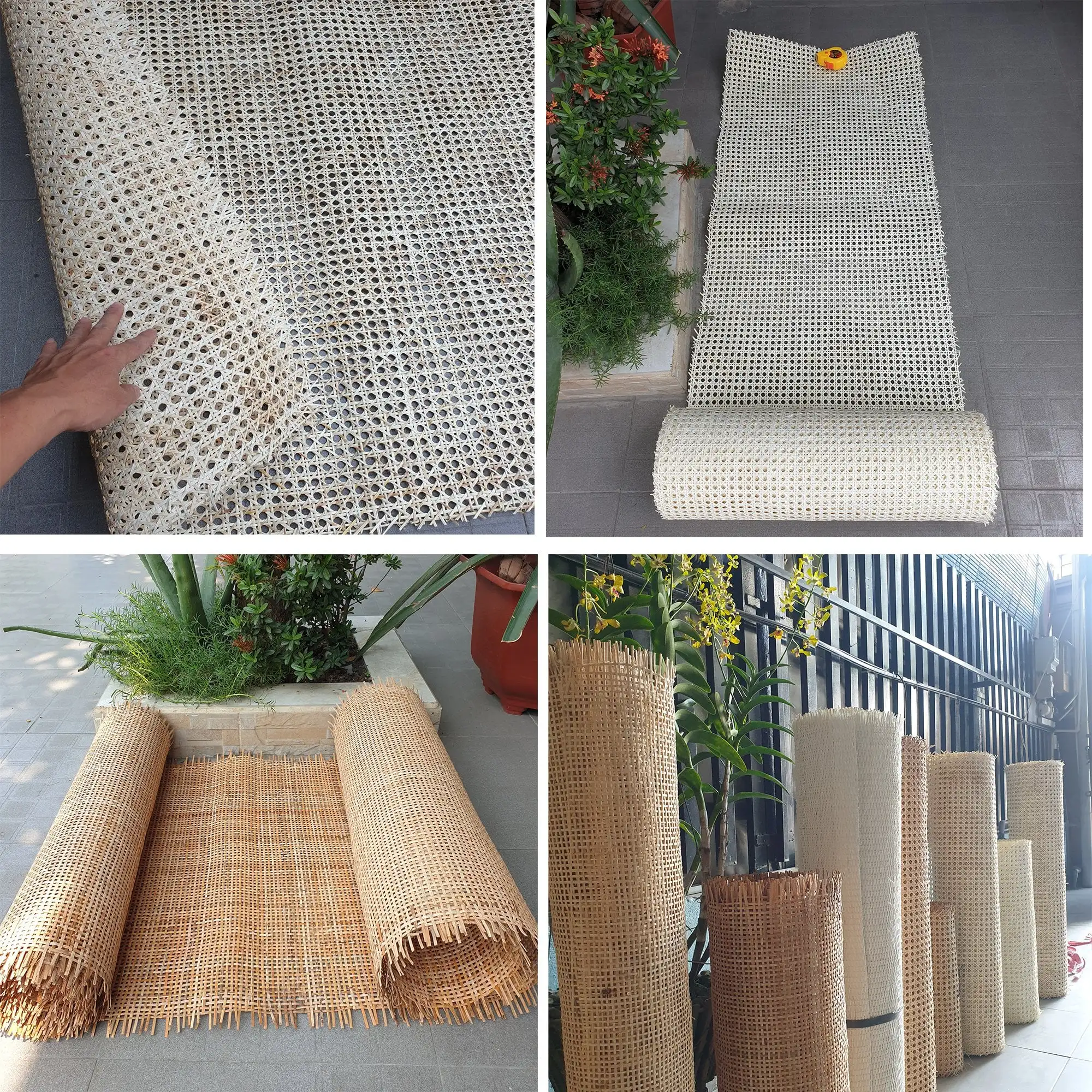 Vietnamese Bleached Rattan Cane bing Clean Rattan Can bing In