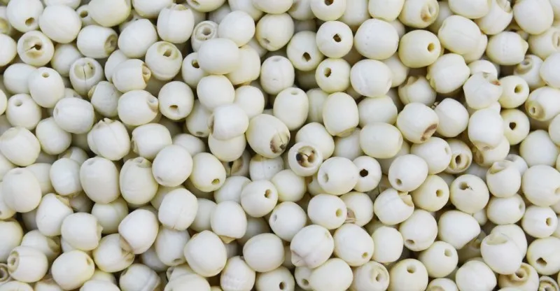 dried white lotus seed best price 2020