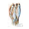 /product-detail/buy-dried-fish-products-vobla-in-vacuum-packaging-62014352614.html