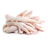 /product-detail/super-quality-chicken-feet-frozen-chicken-paws-brazil-chicken-wings-62013618144.html