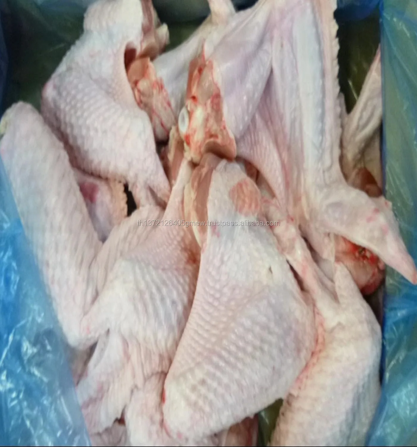 Turkey_3-jt_Wings_1.JPG
