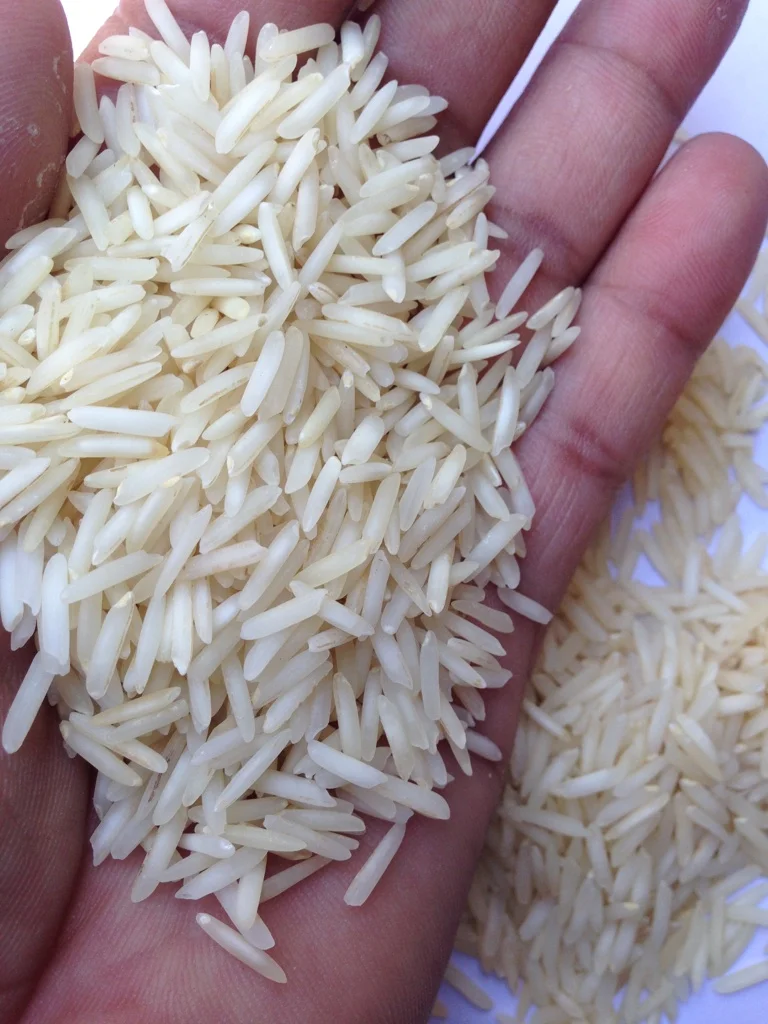 basmati on.jpg