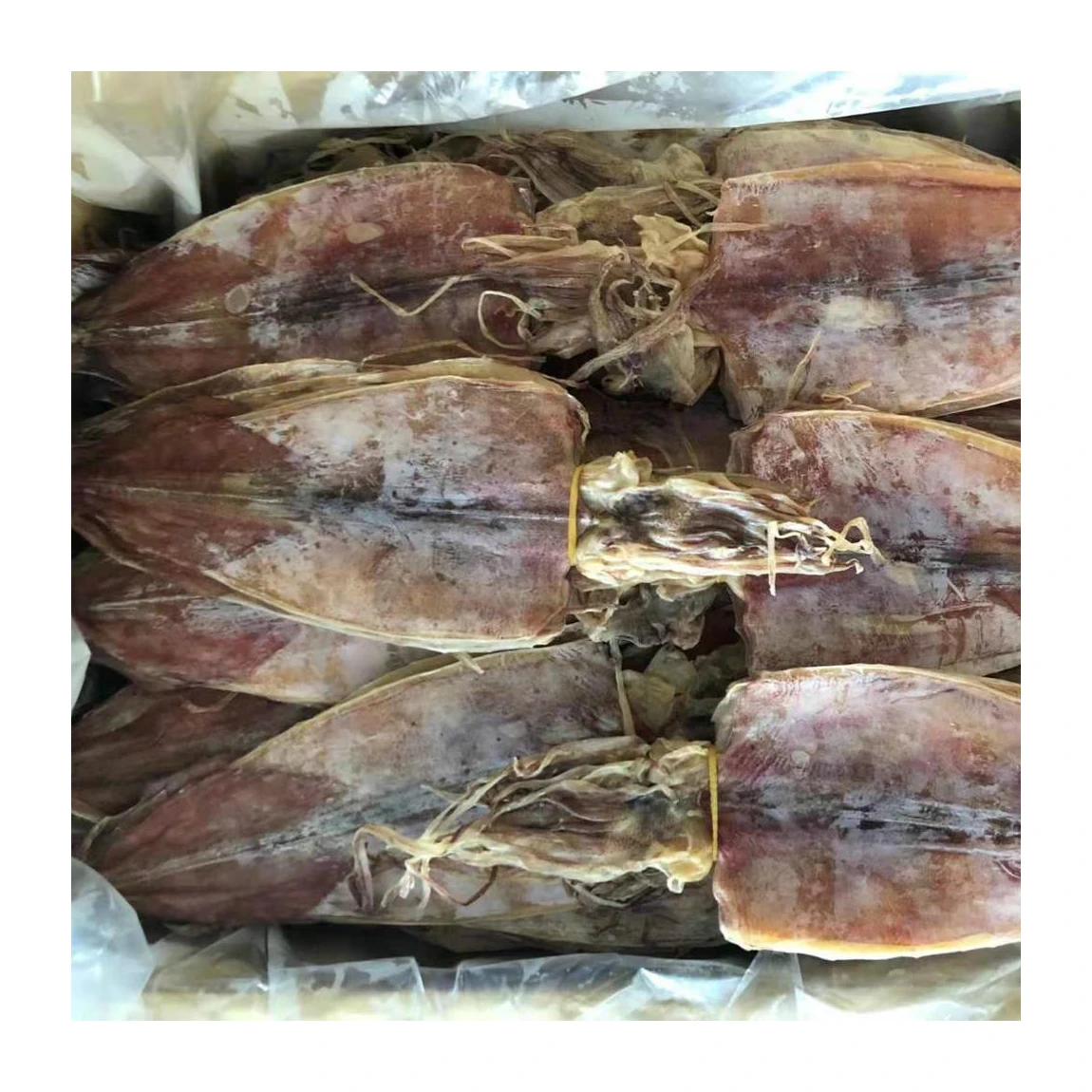 Bleached White Cuttlebone Cuttlefish Powder Bag Box Style Packing