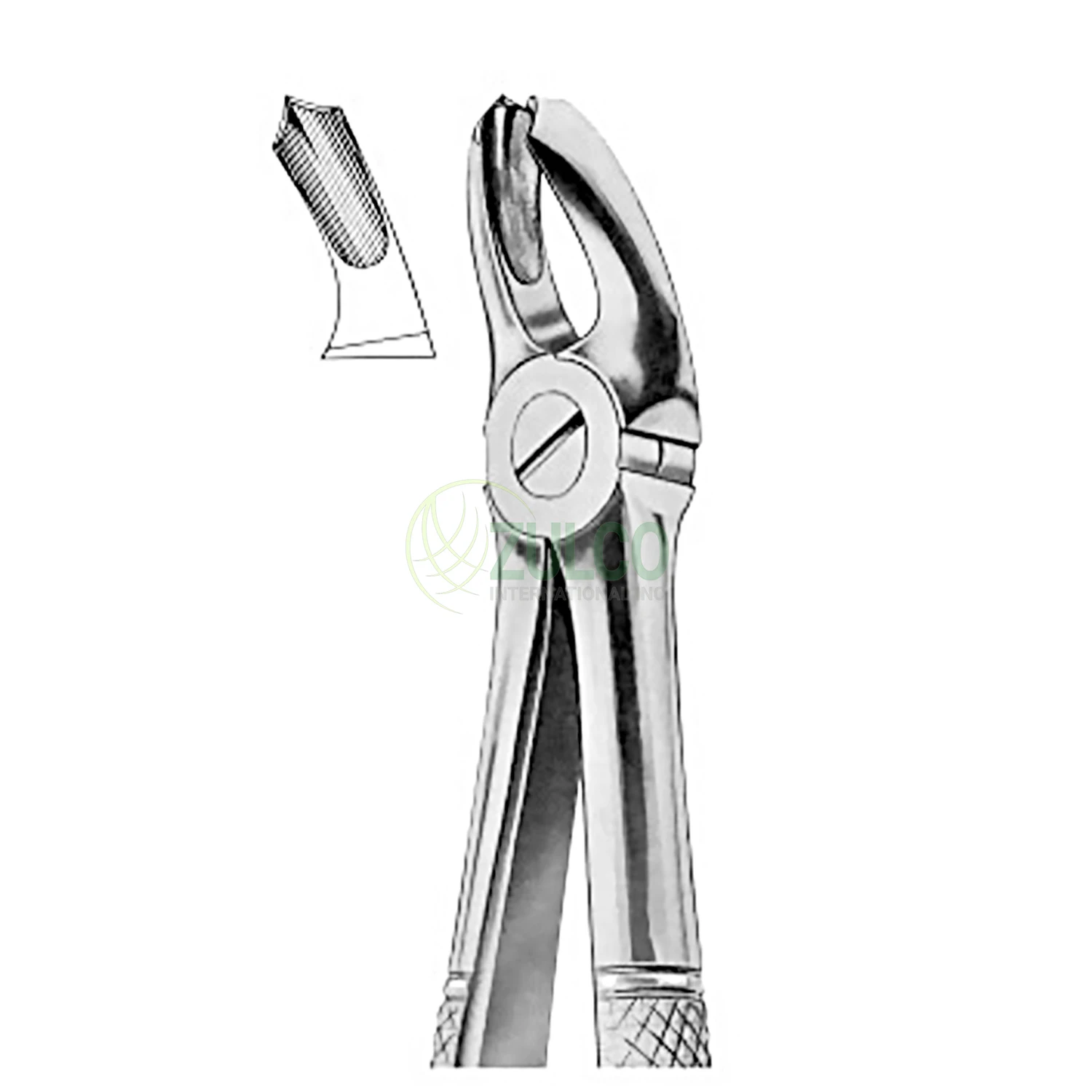 Extracting Forceps English Pattern No.17 Surgical Dentist Upper Lower Roots Dental Extracting