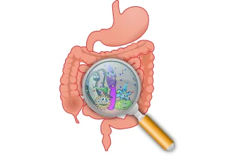 colon detox.png