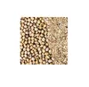 Corn silage for animal feed or Biodiesel