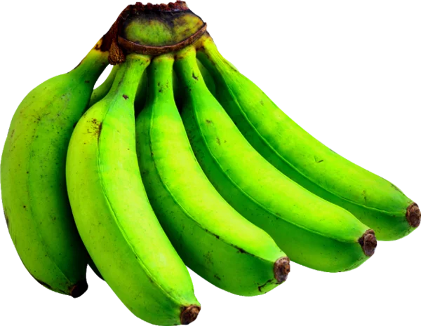 Fresh Wholesale Hygienic Raw High Quality Green Plantain Banana Cameroon 13.5 Kgs/carton 45 Days Shelf Life +27739729209