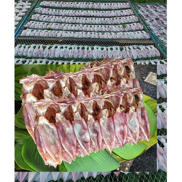 Fresh Dry Best Quality Dried Squid From Thailand Food & Beverage