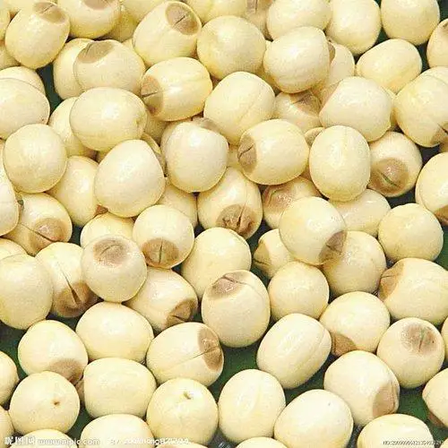 lotus-seed-kernels-500x500.jpg