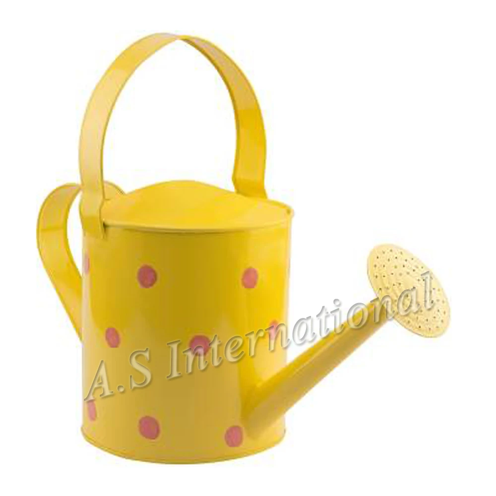 Hotsale 1 Liter Garden Water Cans Galvanized Metal Watering Can With