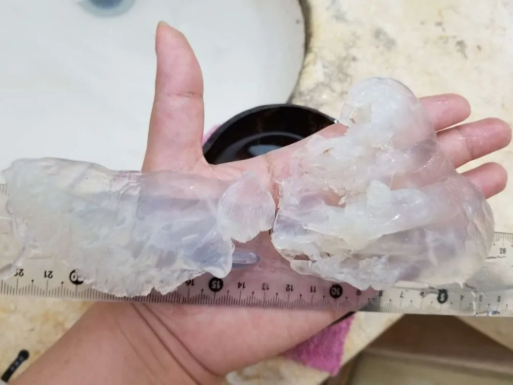 Pickled Jellyfish Dried Salted Jelly Fish Sophie Whatsapp + 0084 845