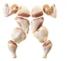 /product-detail/halal-frozen-chicken-brazil-best-exporters-62015132677.html