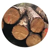 /product-detail/of-the-best-forests-round-wood-spruce-logs-62017524972.html