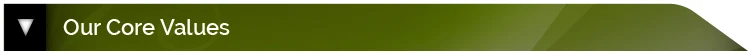 Our-Core-Values-t.jpg