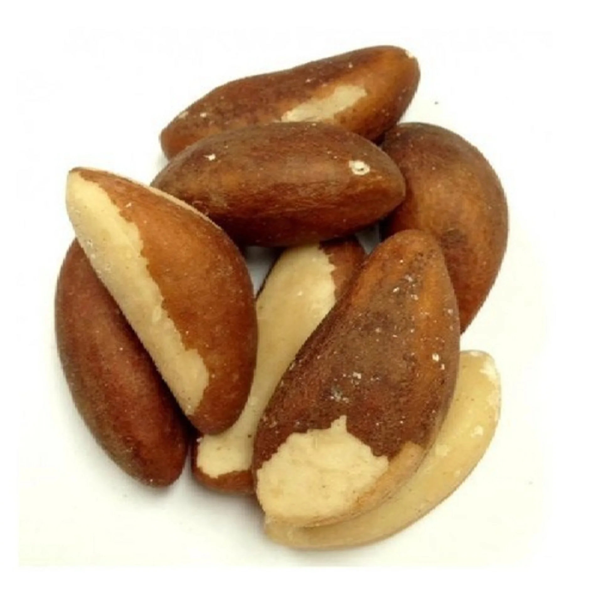 hot selling best quality good price brazil nuts for wholesale pu