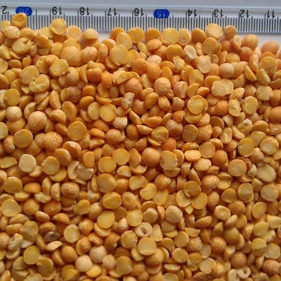 
Best Yellow split Peas 