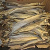 Best Dry Stock Fish / Dry Stock Fish Head / dried salted cod for sales