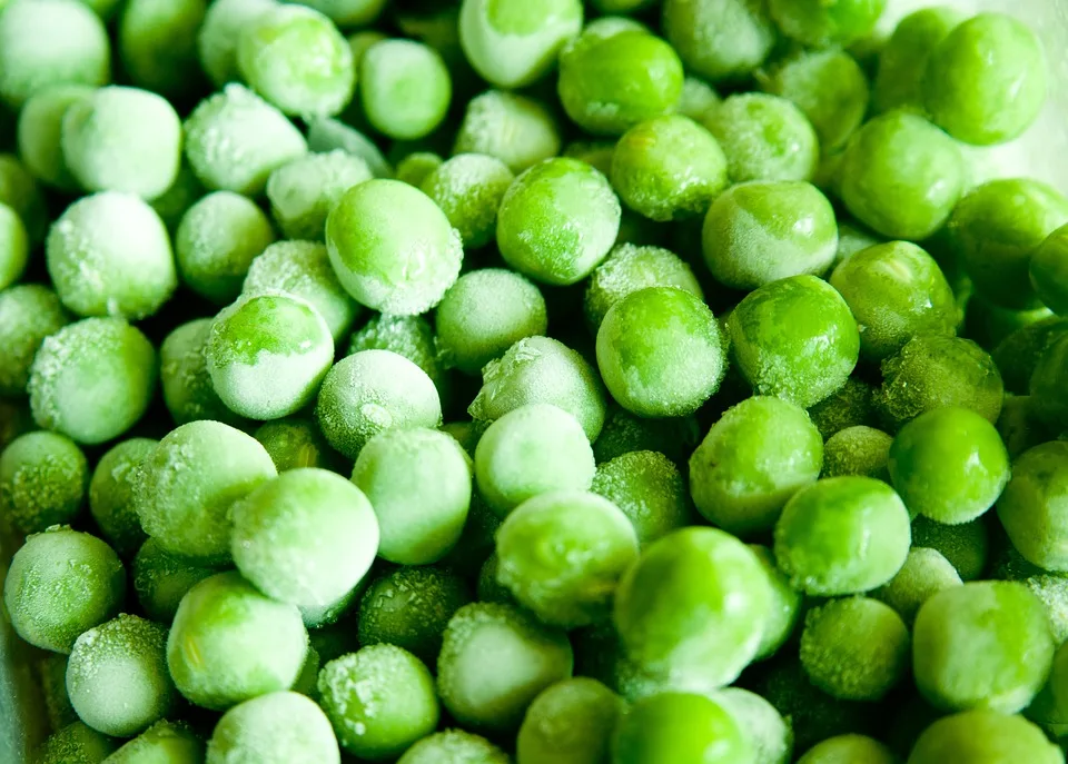 top quality cheap price good quality canned green peas