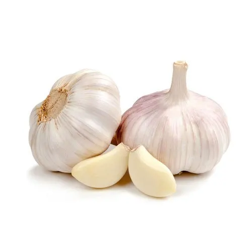 Konofolo e Hloekileng ea Thai Normal White Garlic