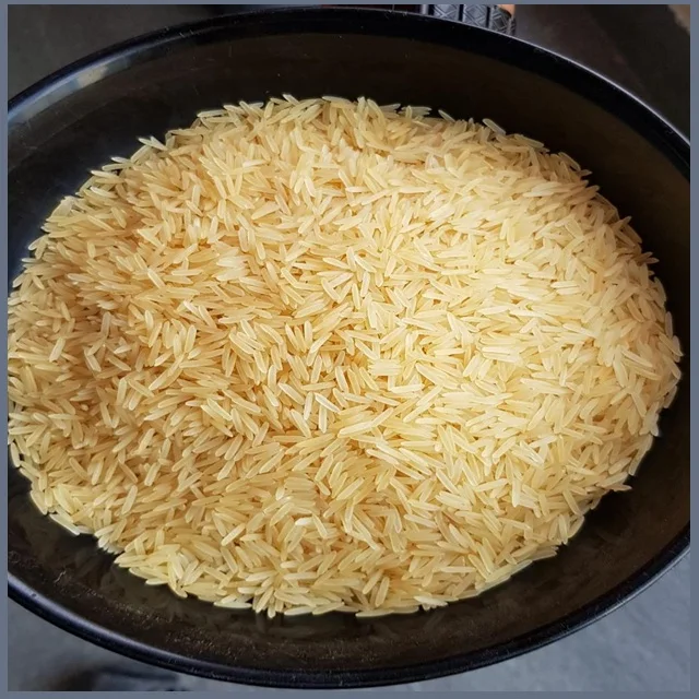 1121 Sella Golden Rice I.jpg