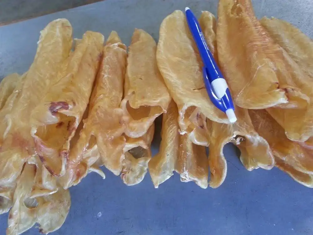 Hot Dried Fish Maw Vietnam Buy Dried Fish Maw,Swim Bladder Corvina