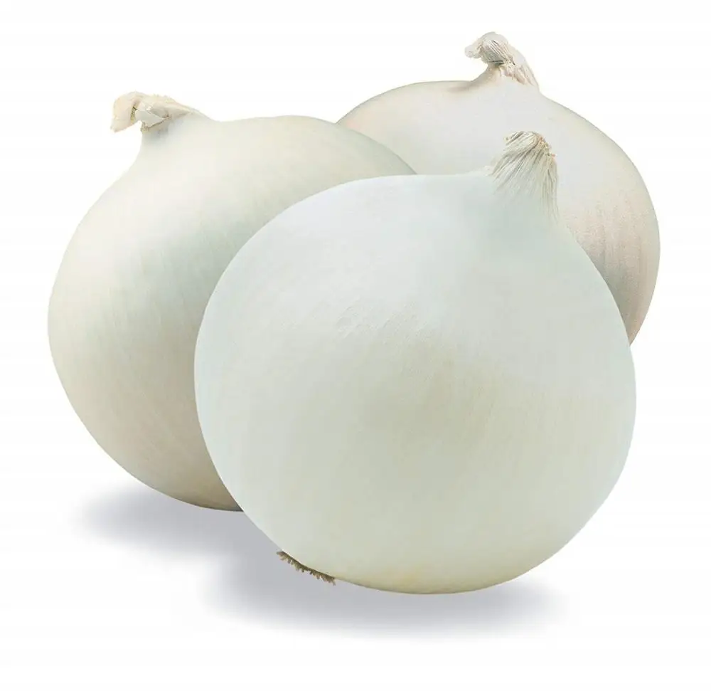 fresh onion with high quality vietgap globalgap 2020