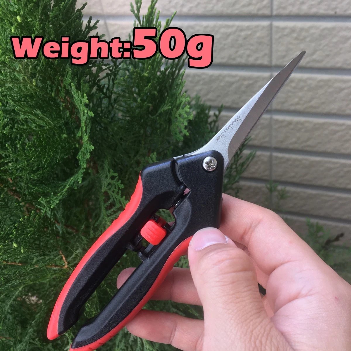 Details about   Bonsai Pruner Trimming Scissors 5pcs For Leaf Bud Fishing Tool Trimmers 4" 