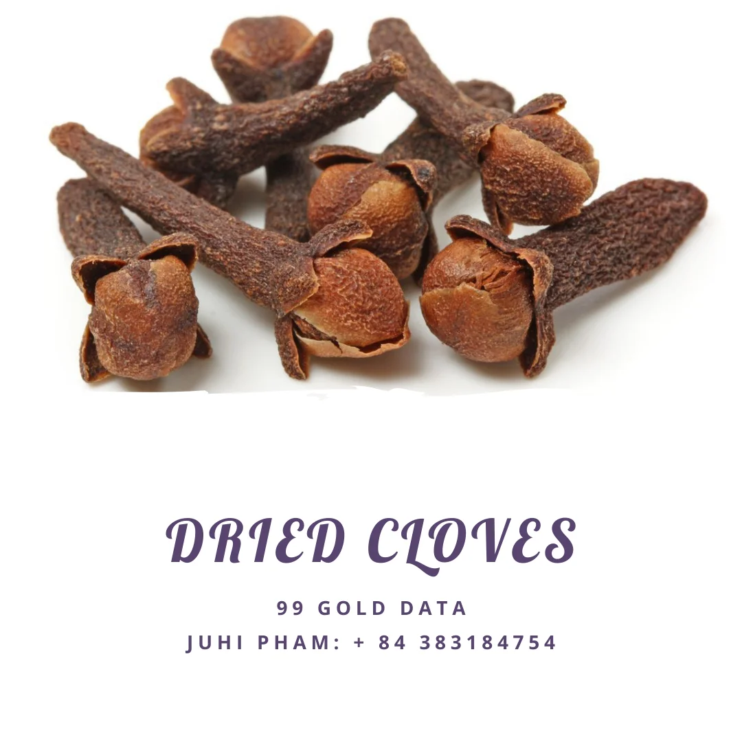 Natural Brown Cloves _ Wholesale Cloves _ Dried Cloves_ Vietnam Pham