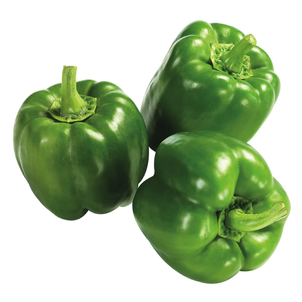 suppliers of green bell pepper