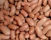 Poroto Canela / Cinammon Beans - Bulk