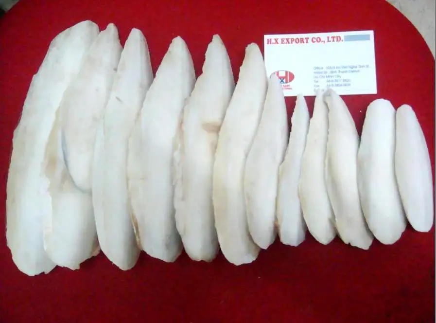cuttlefish bone 3.jpg