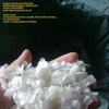 HOT SALE! Dried fish scale from VietNam (whatsapp:+84907631944) E: Thuybuiexim(at)gmail(dot)com